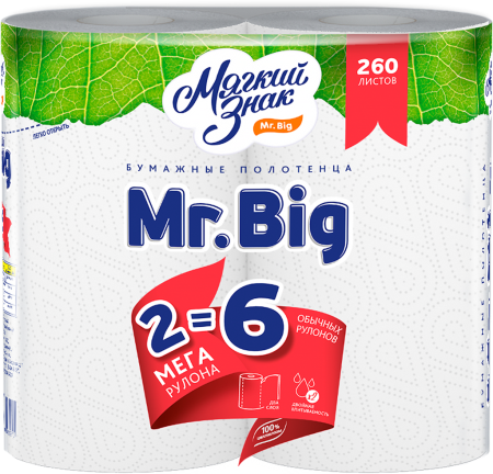 Бумажные полотенца Mr.Big 2 слоя, 2шт